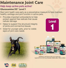 Load image into Gallery viewer, NaturVet Glucosamine DS Level 1 Soft Chews- 120 ct