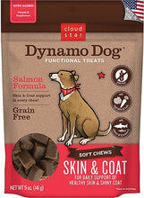 Load image into Gallery viewer, Cloud Star Dynamo Dog Skin & Coat Soft Chews Salmon Formula Grain-Free Dog Treats