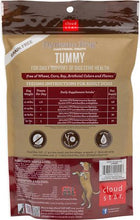 Load image into Gallery viewer, Cloud Star Dynamo Dog Tummy Soft Chews Pumpkin & Ginger Formula Grain-Free Dog Treats, 14-oz bag