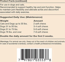 Load image into Gallery viewer, NaturVet Glucosamine DS Level 1 Soft Chews- 120 ct