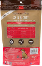 Load image into Gallery viewer, Cloud Star Dynamo Dog Skin & Coat Soft Chews Salmon Formula Grain-Free Dog Treats
