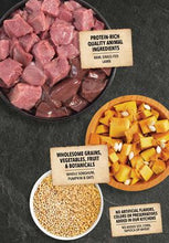 Load image into Gallery viewer, Lamb & Pumpkin Grain Inclusive Formula - Acana Singles