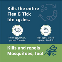 Load image into Gallery viewer, Wondercide Topical & Indoor Flea & Tick Spray - Peppermint