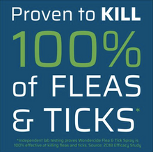 Load image into Gallery viewer, Wondercide Topical & Indoor Flea & Tick Spray - Peppermint