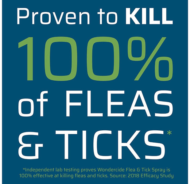How to kill fleas and ticks NATURALLY