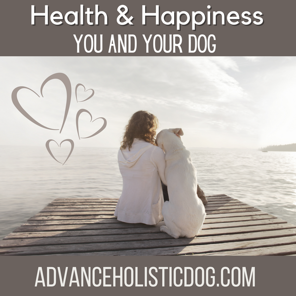 Health and Happiness- You and your dogs