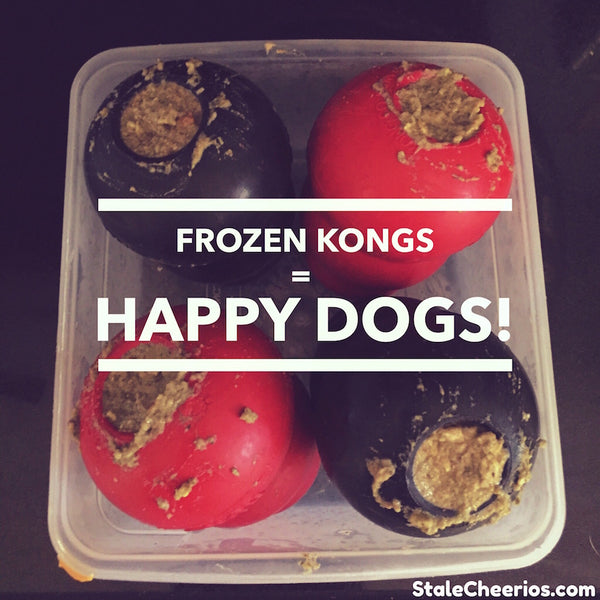 Canine Enrichment- Kongs and Recipes