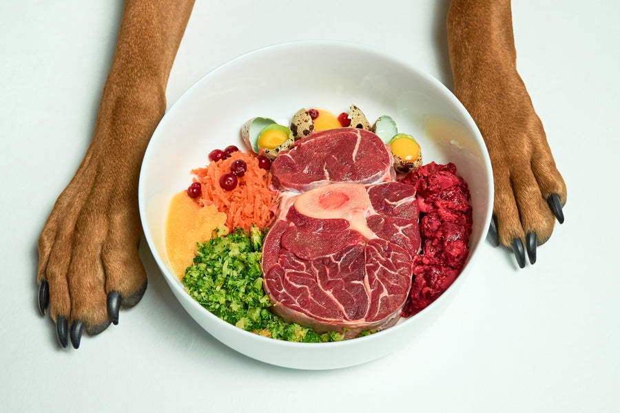 Can You Mix Raw and Kibble Together? Oh YES you can!