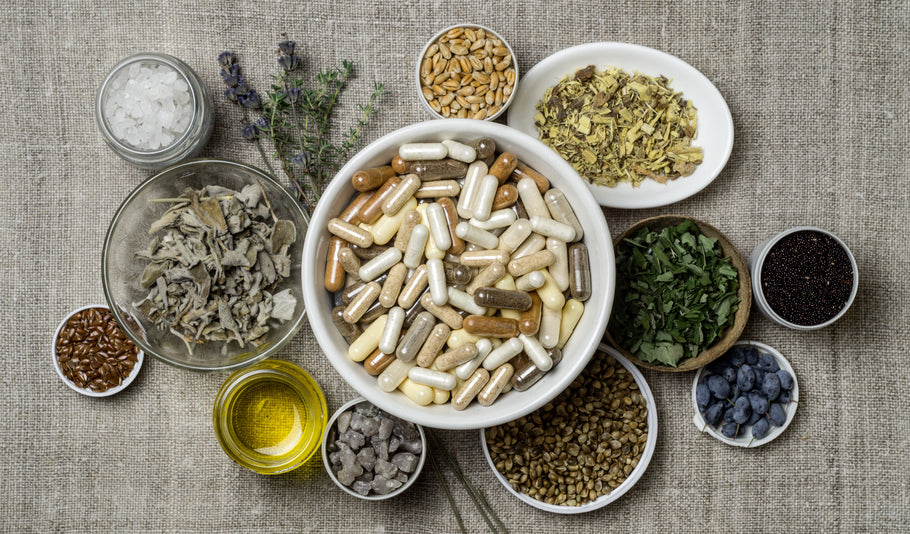 Whole Foods and Supplements for Dogs - Is Raw Right for Your Dog?