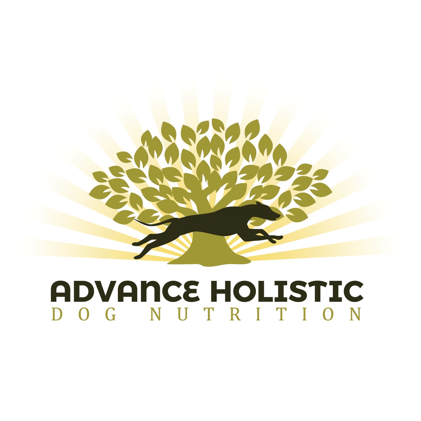 advanceholisticdog.com logo