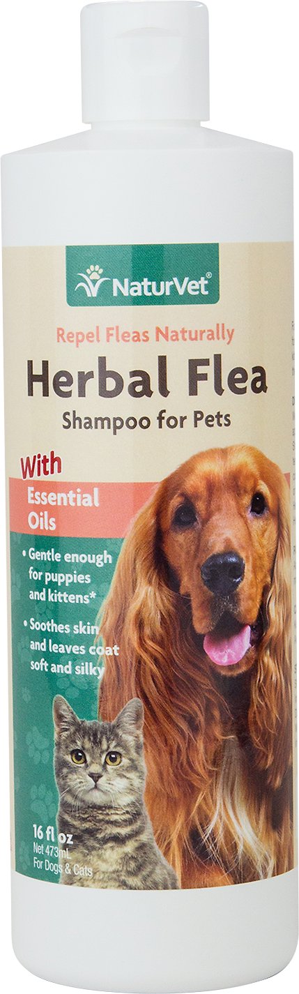 NaturVet Herbal Flea Shampoo 16 oz