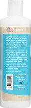 Load image into Gallery viewer, Buddy Wash Rosemary &amp; Mint Shampoo - 16 oz
